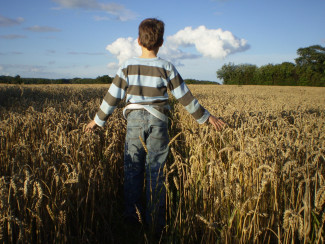 Junge im Kornfeld